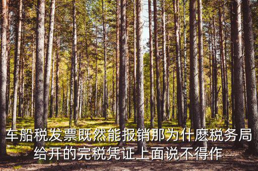 車船稅發票既然能報銷那為什麼稅務局給開的完稅憑證上面說不得作
