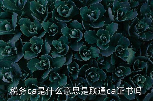 稅務ca是什么意思是聯通ca證書嗎
