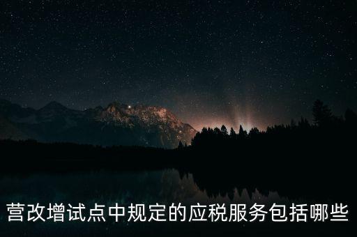 什么是應稅服務，小規模申報表中應稅服務什么意思