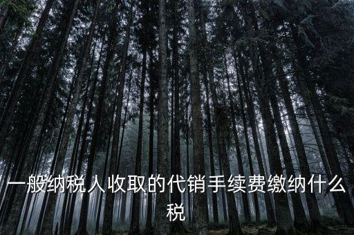 代理服務費交什么稅，一般納稅人收取的代銷手續費繳納什么稅
