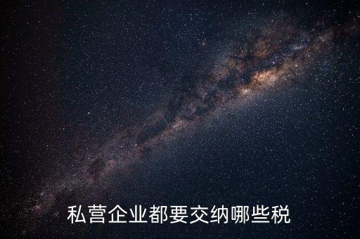 私營企業都要交納哪些稅