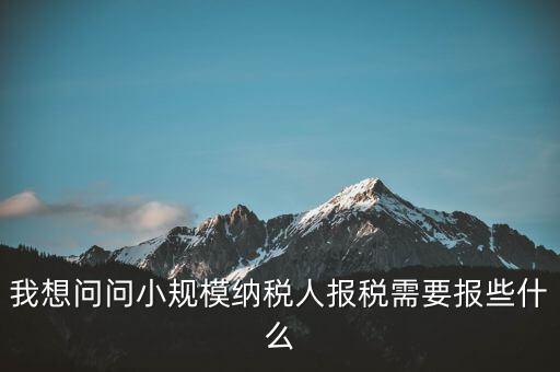 我想問問小規模納稅人報稅需要報些什么