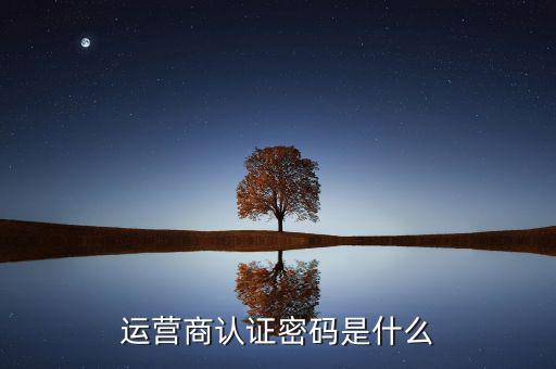網上認證密碼密碼是什么，一般上網認證系統初始密碼是什么
