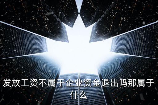 發放工資不屬于企業資金退出嗎那屬于什么