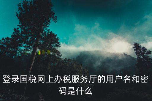 電子稅務局登錄密碼是什么，國稅第一次網上申報的登陸密碼是什么