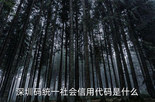 深圳碼統一社會信用代碼是什么