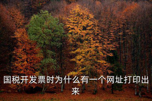 國稅開發票時為什么有一個網址打印出來
