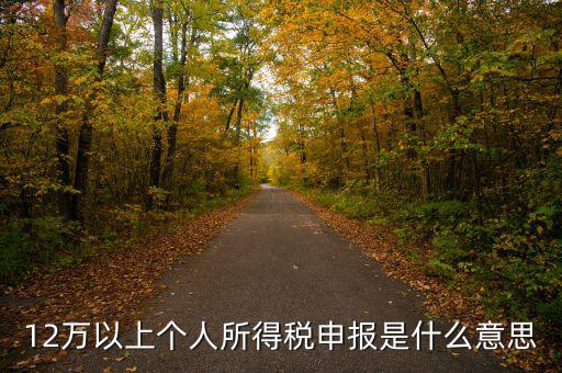 申報個稅什么意思，個稅明細(xì)申報是指什么