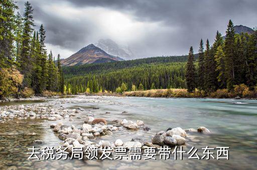 去稅務局領發票需要帶什么東西