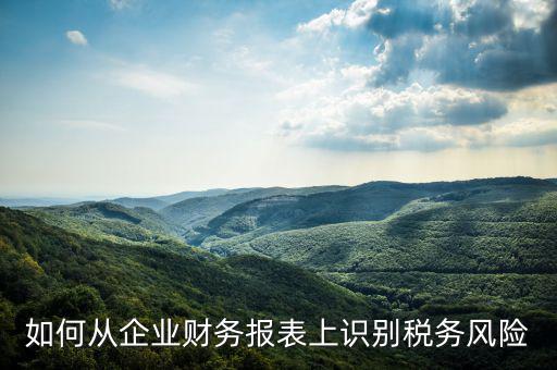 稅務風險核查是什么意思，虛開增值稅專用發票核查 什么意思