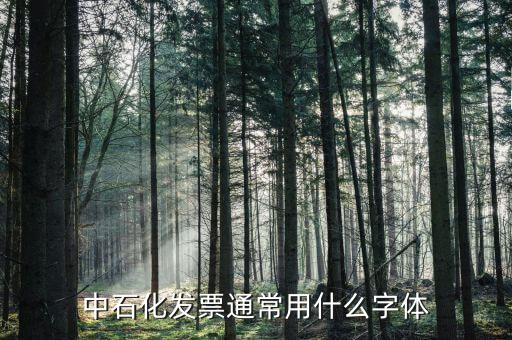 中石化發票通常用什么字體