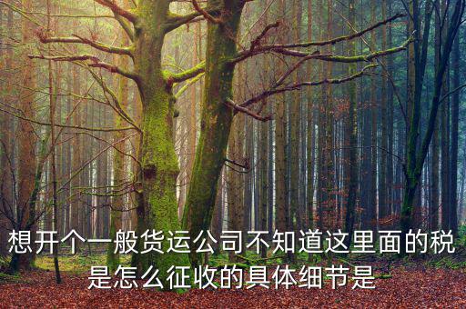 想開個一般貨運公司不知道這里面的稅是怎么征收的具體細節是
