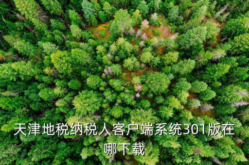 天津地稅納稅人客戶端系統301版在哪下載