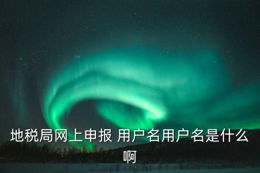 地稅局網上申報 用戶名用戶名是什么啊