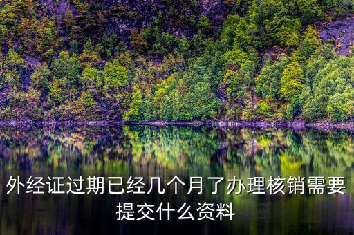 外經證過期已經幾個月了辦理核銷需要提交什么資料