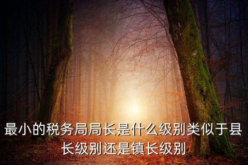 最小的稅務局局長是什么級別類似于縣長級別還是鎮長級別