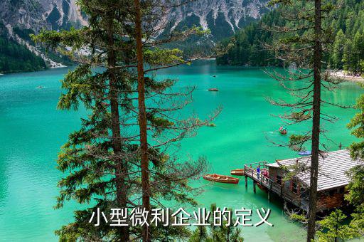 什么叫小型微型企業，什么叫微小企業