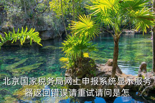 北京國家稅務局網上申報系統顯示服務器返回錯誤請重試請問是怎