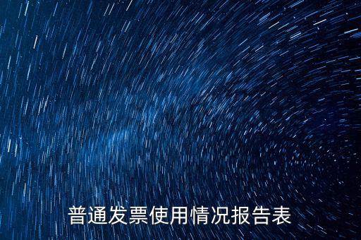 普通發票使用情況報告表