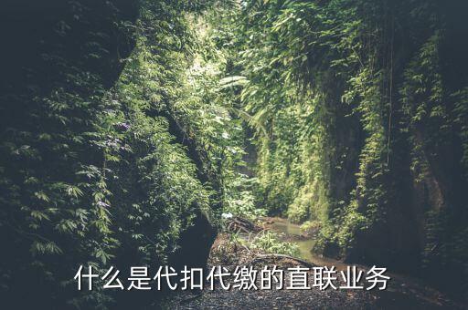 什么是代扣代繳的直聯業務