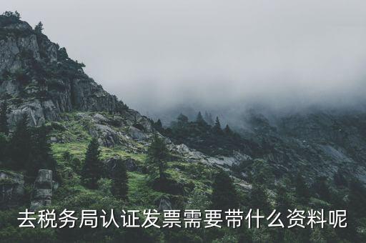 去稅務局認證發票需要帶什么資料呢