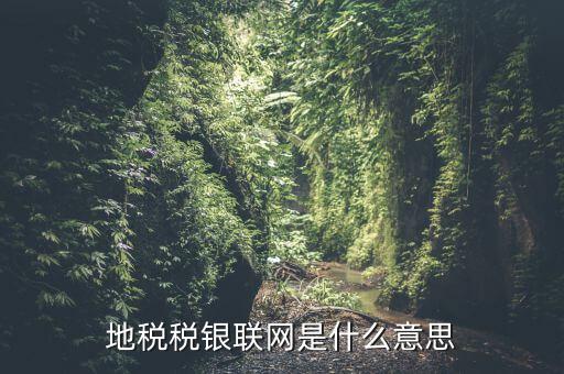 地稅稅銀聯網是什么意思