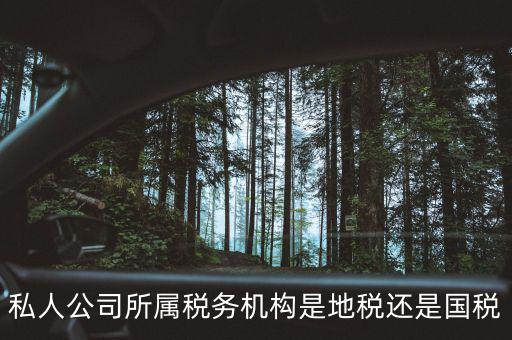 個(gè)人開(kāi)企業(yè)交什么地稅局，私人公司所屬稅務(wù)機(jī)構(gòu)是地稅還是國(guó)稅