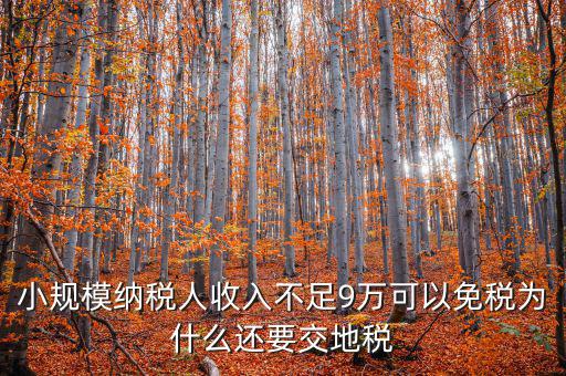 為什么納地稅，為什么要規定納稅地點