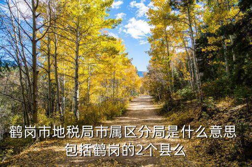 片區稅務分局是什么，陽宗海片區屬于哪個稅務局