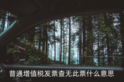 普通增值稅發票查無此票什么意思