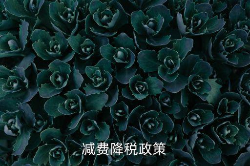 做好6項減稅政策的內容是什么，減費降稅政策