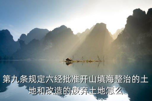 第九條規定六經批準開山填海整治的土地和改造的廢棄土地怎么