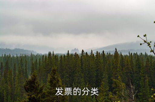 發票的分類