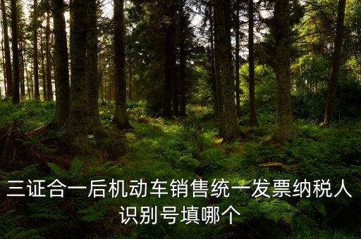 統一納稅識別號是什么，三證合一后機動車銷售統一發票納稅人識別號填哪個