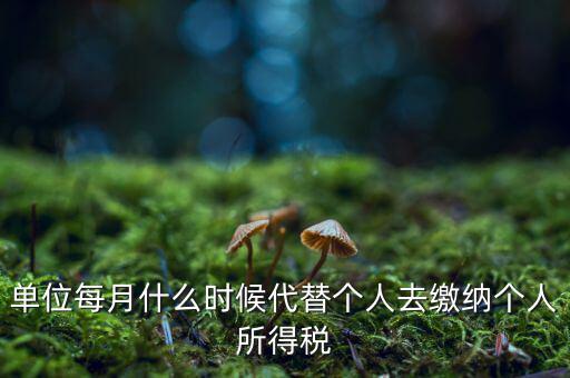 單位每月什么時候代替個人去繳納個人所得稅