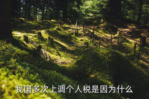 我國多次上調個人稅是因為什么