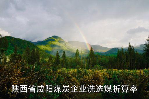 陜西省咸陽煤炭企業洗選煤折算率