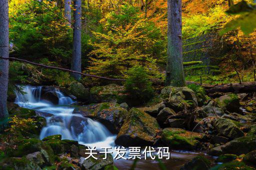 關于發票代碼