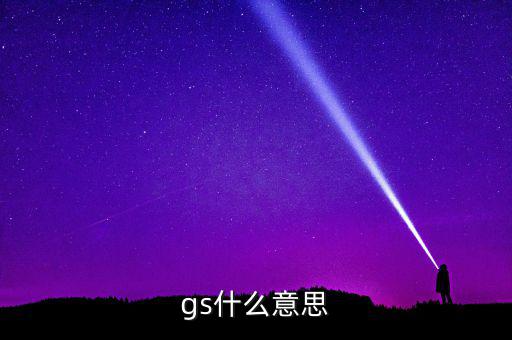 什么是gs系統，gs什么意思