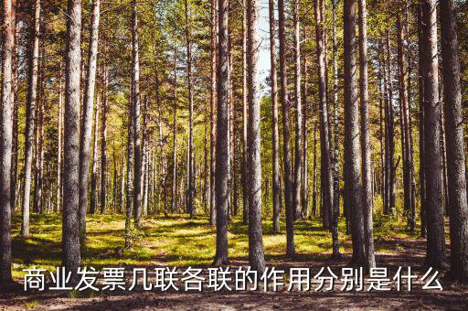 商業發票幾聯各聯的作用分別是什么