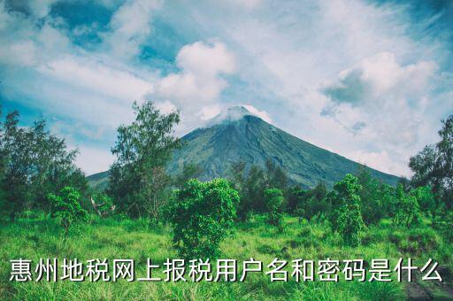 惠州地稅網上報稅用戶名和密碼是什么