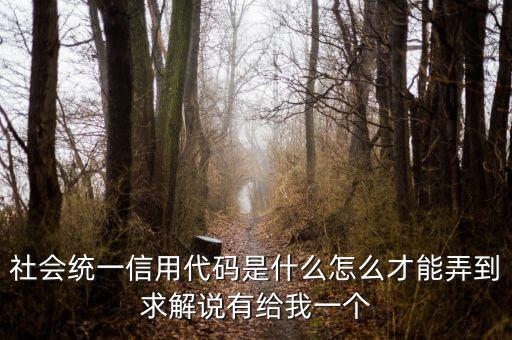 社會統一信用代碼是什么怎么才能弄到求解說有給我一個