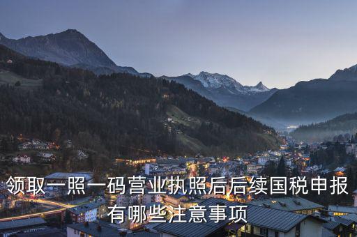 領取一照一碼營業執照后后續國稅申報有哪些注意事項