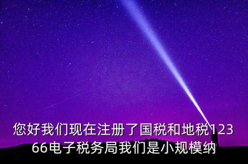 您好我們現在注冊了國稅和地稅12366電子稅務局我們是小規模納