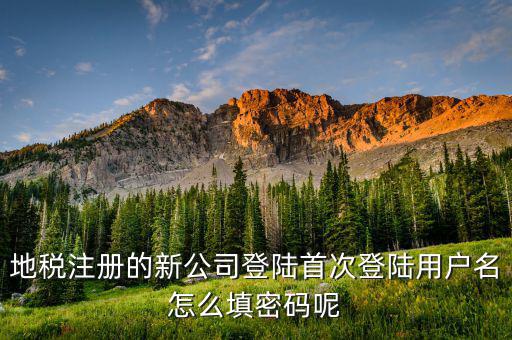 地稅登錄名密碼是什么，地稅申報的用戶名和密碼是什么