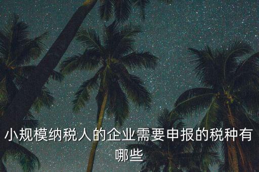 小規模納稅人的企業需要申報的稅種有哪些