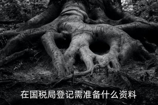 稅務登記備什么，在國稅局登記需準備什么資料