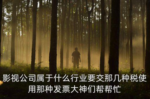 影視公司屬于什么行業要交那幾種稅使用那種發票大神們幫幫忙