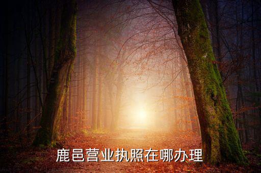 鹿邑營業執照在哪辦理