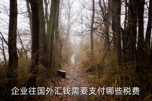 企業往國外匯錢需要支付哪些稅費